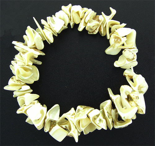 Natural White Sea Shell Bracelet 